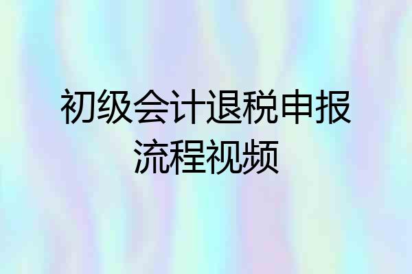 初级会计退税申报流程视频