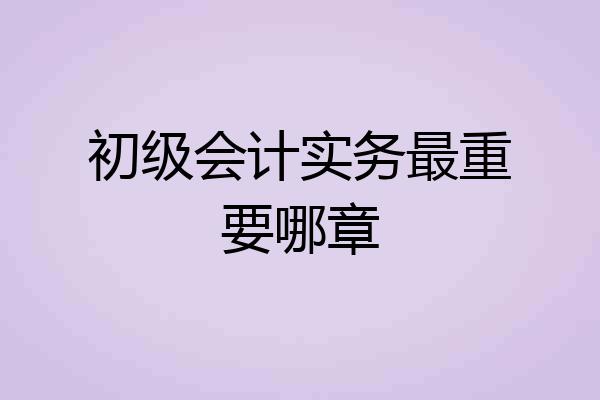 初级会计实务最重要哪章