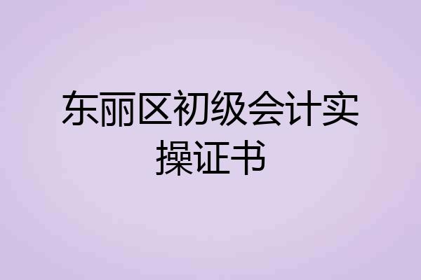 东丽区初级会计实操证书