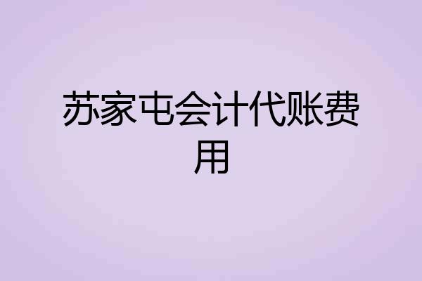 苏家屯会计代账费用