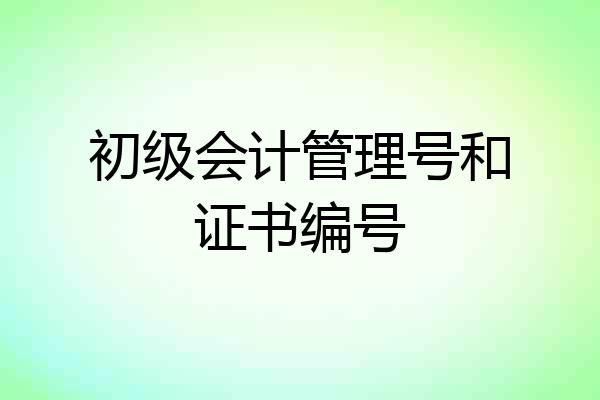 初级会计管理号和证书编号