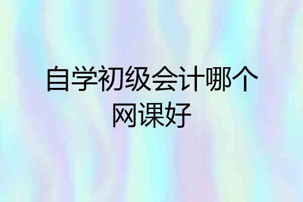 自学初级会计哪个网课好