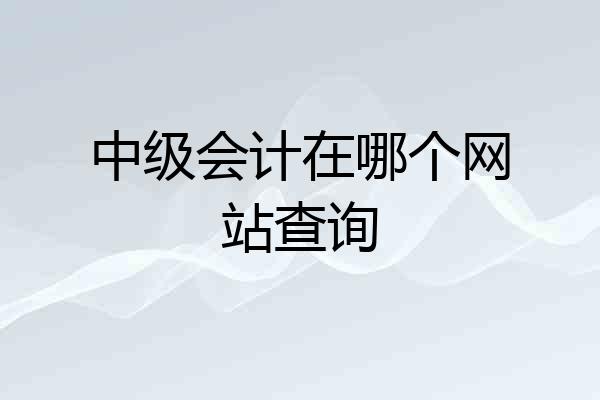 中级会计在哪个网站查询