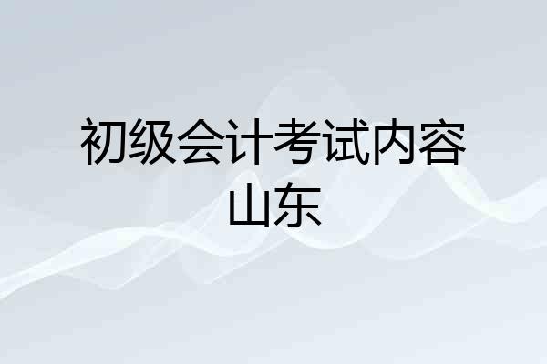 初级会计考试内容山东