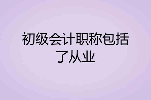初级会计职称包括了从业