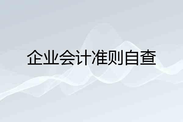 企业会计准则自查