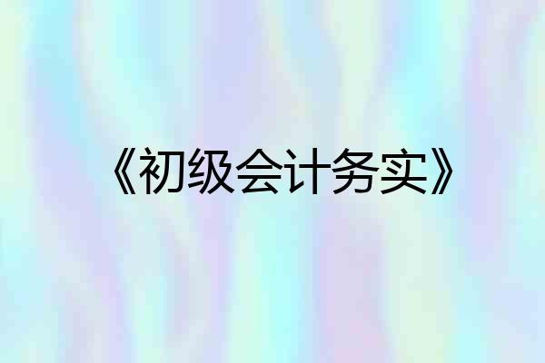 《初级会计务实》