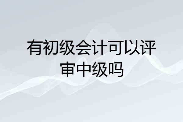 有初级会计可以评审中级吗