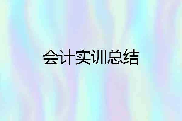 会计实训总结
