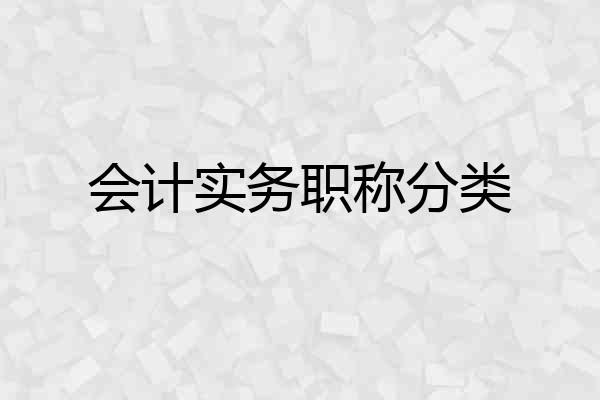 会计实务职称分类