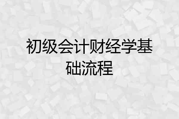 初级会计财经学基础流程