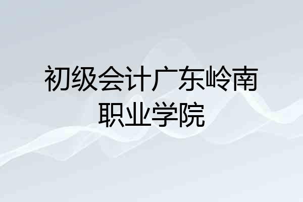 初级会计广东岭南职业学院