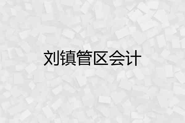 刘镇管区会计