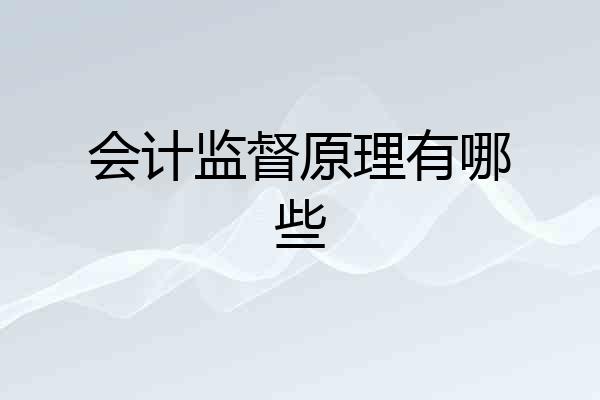 会计监督原理有哪些