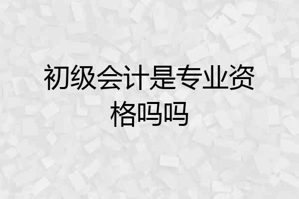 初级会计是专业资格吗吗