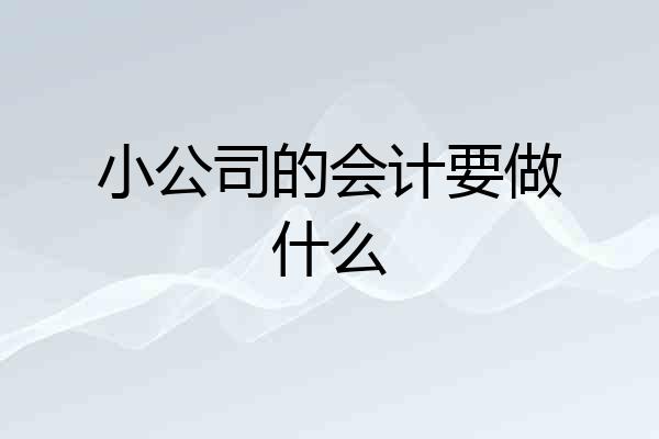 小公司的会计要做什么