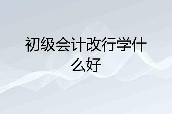 初级会计改行学什么好
