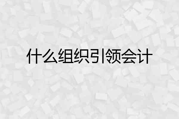 什么组织引领会计