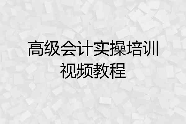高级会计实操培训视频教程