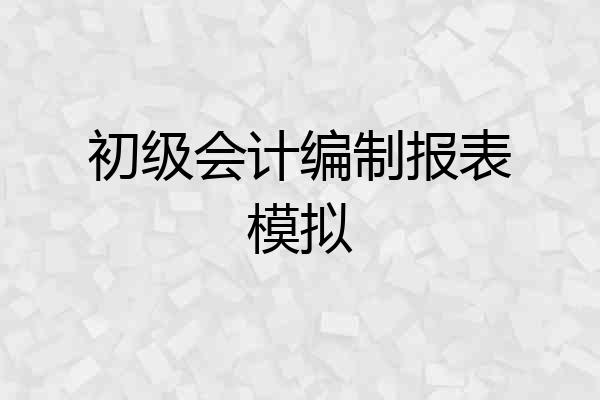 初级会计编制报表模拟