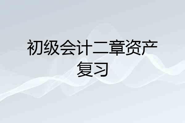 初级会计二章资产复习