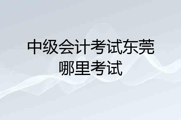 中级会计考试东莞哪里考试
