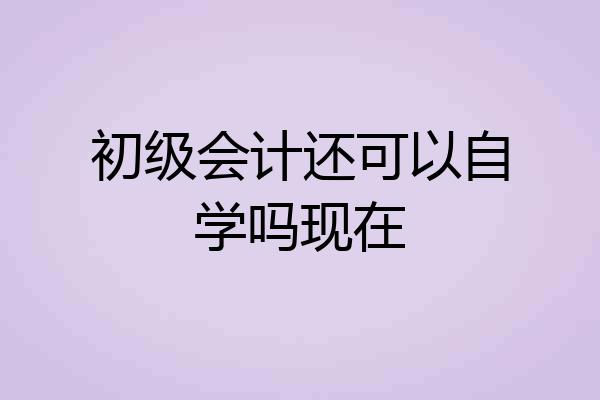初级会计还可以自学吗现在