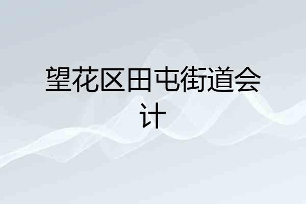 望花区田屯街道会计