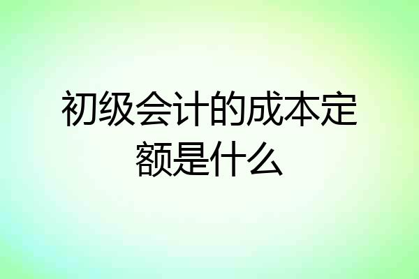 初级会计的成本定额是什么