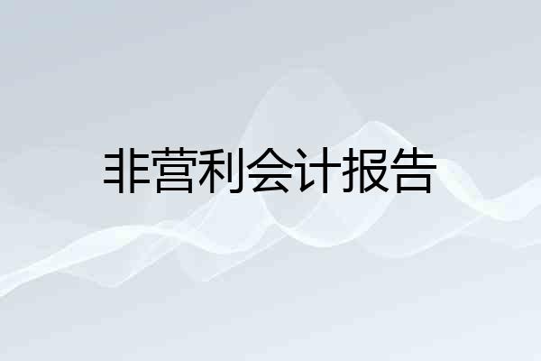 非营利会计报告