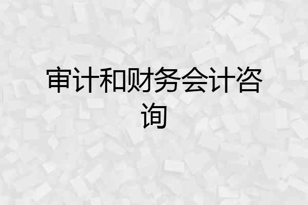 审计和财务会计咨询