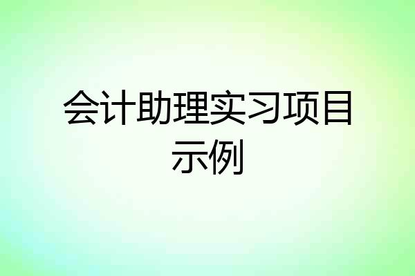 会计助理实习项目示例