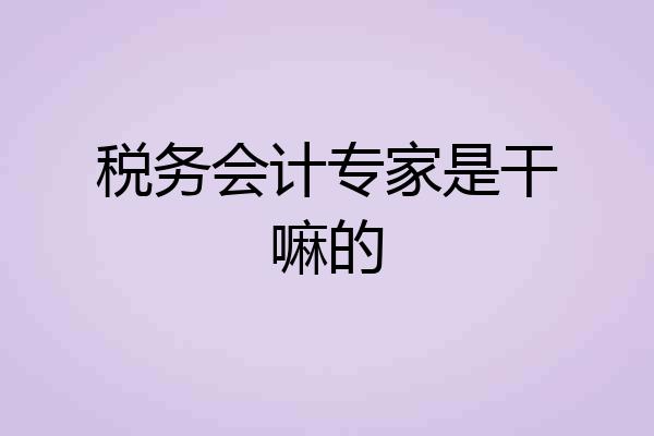 税务会计专家是干嘛的
