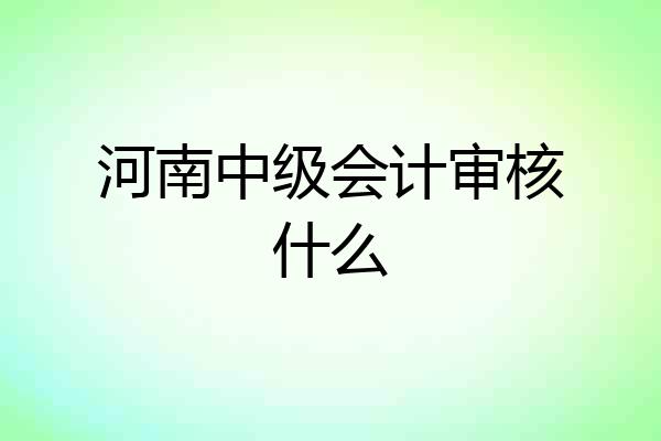 河南中级会计审核什么