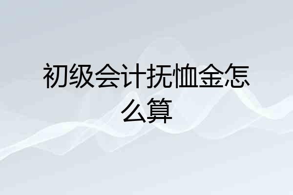初级会计抚恤金怎么算