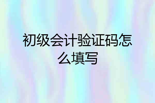 初级会计验证码怎么填写