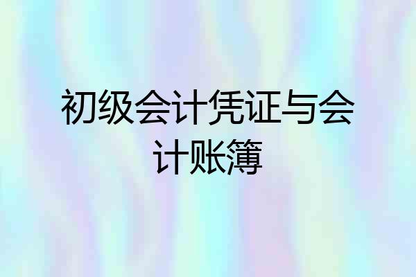 初级会计凭证与会计账簿