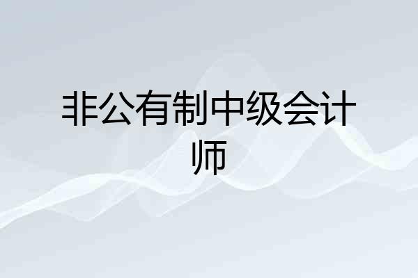 非公有制中级会计师