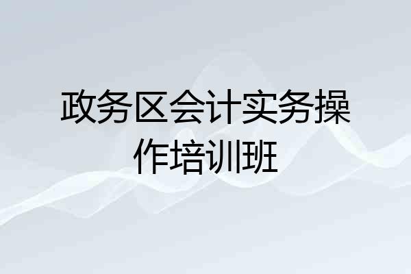 政务区会计实务操作培训班