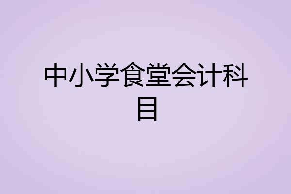 中小学食堂会计科目
