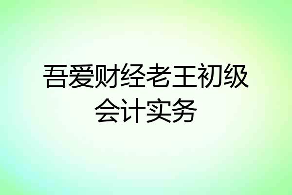 吾爱财经老王初级会计实务