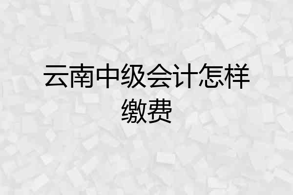 云南中级会计怎样缴费
