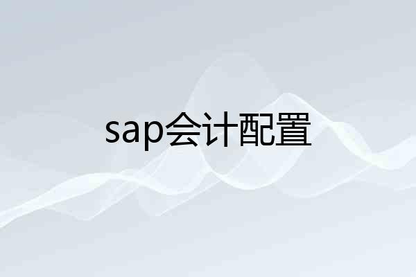 sap会计配置