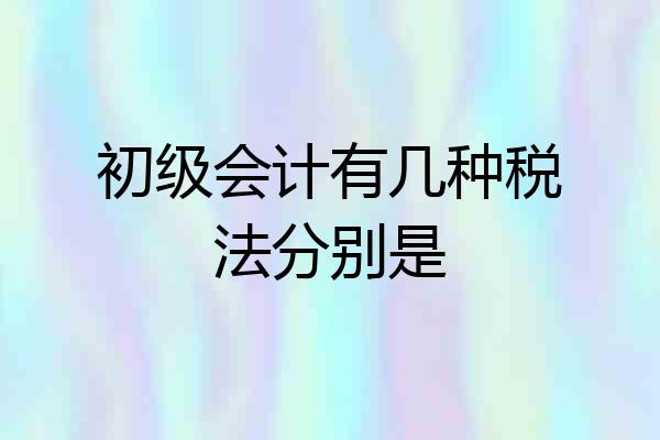 初级会计有几种税法分别是