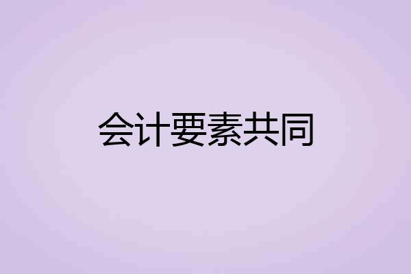 会计要素共同