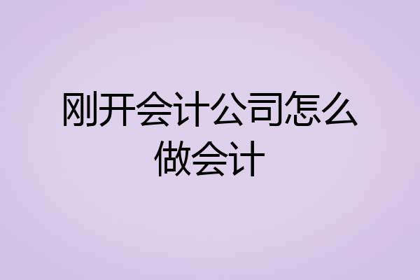 刚开会计公司怎么做会计
