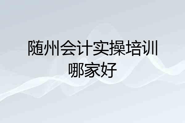 随州会计实操培训哪家好