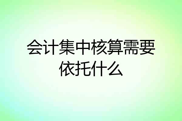 会计集中核算需要依托什么