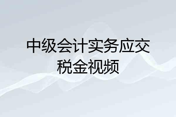 中级会计实务应交税金视频