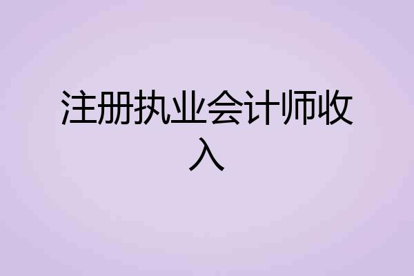 注册执业会计师收入